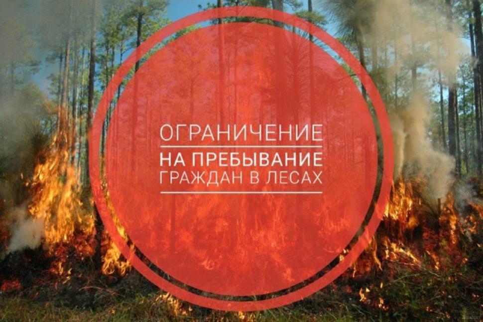 Об ограничении пребывания граждан в лесах.